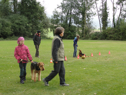 Parcours mit dem Hund